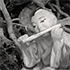 Christoph Radke, Vietnam, Hanoi, Literaturtempel